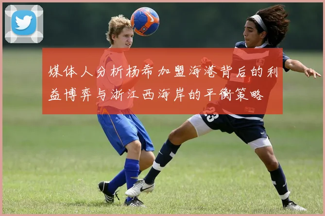 媒体人分析杨希加盟海港背后的利益博弈与浙江西海岸的平衡策略
